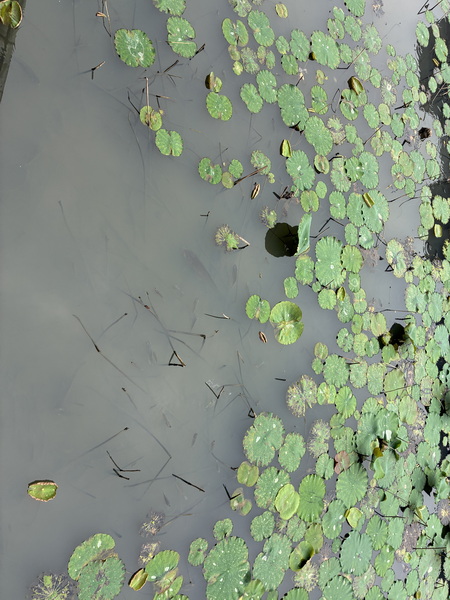 IMG_2881_调整大小.JPG IMG_2881_调整大小.JPG