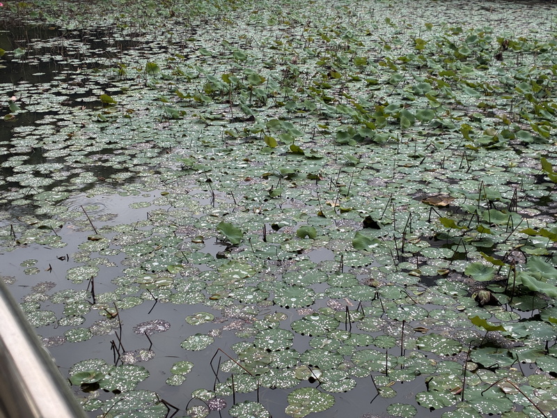 IMG_2498_调整大小.JPG IMG_2498_调整大小.JPG