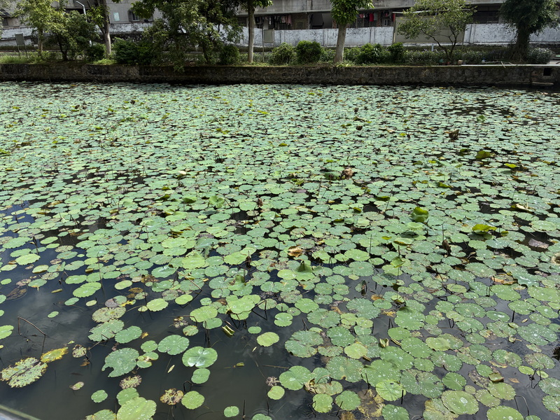 IMG_2403_调整大小.JPG IMG_2403_调整大小.JPG