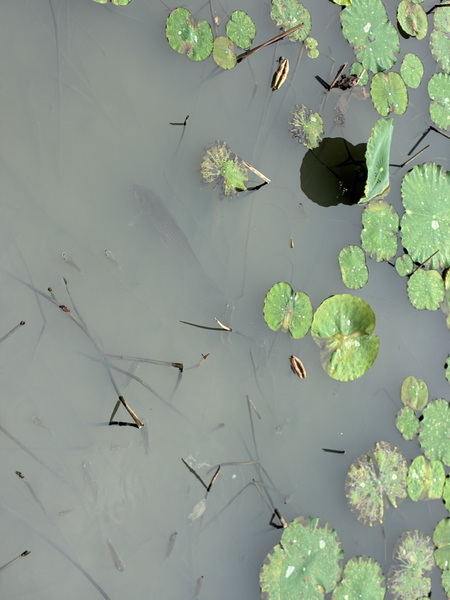 IMG_2740_调整大小.JPG IMG_2740_调整大小.JPG