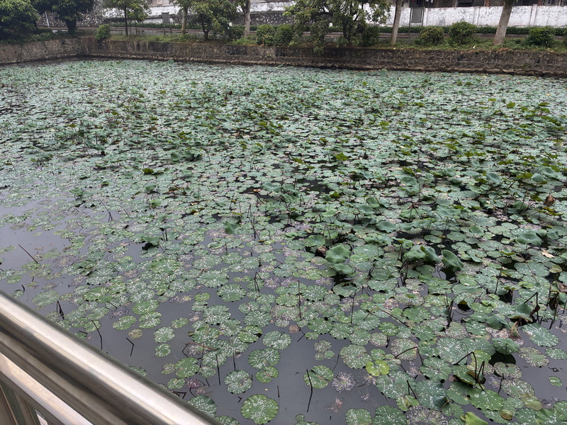 IMG_2925_调整大小.JPG IMG_2925_调整大小.JPG