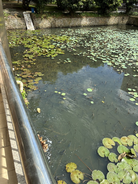 IMG_2402_调整大小.JPG IMG_2402_调整大小.JPG